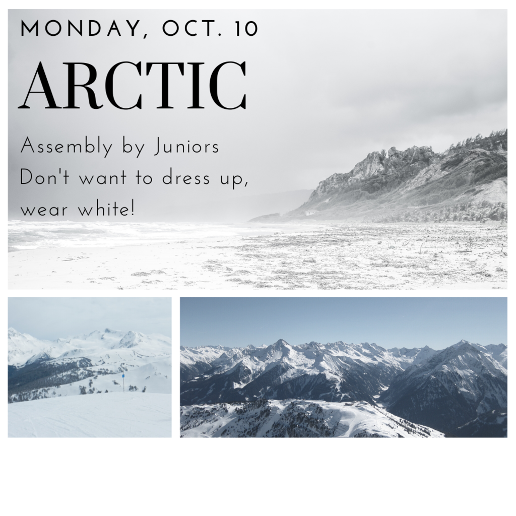 Arctic Day 
